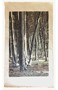 Wald (Besuch) 170x100cm, Tusche und Artpen, 2020