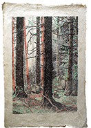 Wald, Konferenz. Artpen auf Bütten, 75x50 cm. 2019