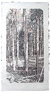 Wald mit Liege, 143x75 cm, Artpen auf Bütten, 2017
