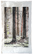 Wald Wohnzimmer, 170 x 100 cm, Tusche und Artpen, 2018