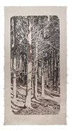  Wald mit Thron, 143x75 cm, Artpen auf Bütten, 2017