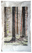 Wald , Schöner Wohnen, 170 x 100 cm, Tusche und Artpen, 2018